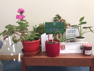 Plants Plants